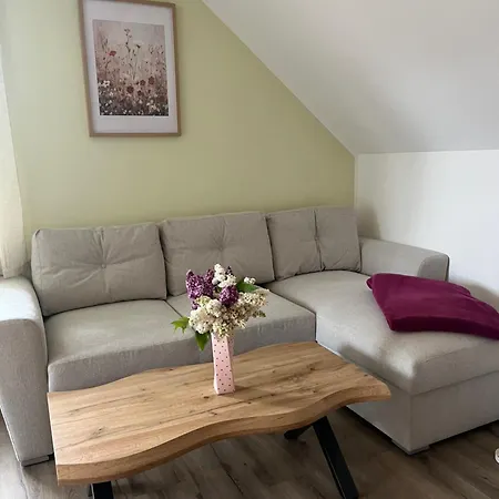 Проживание в семье Haus Wally - *